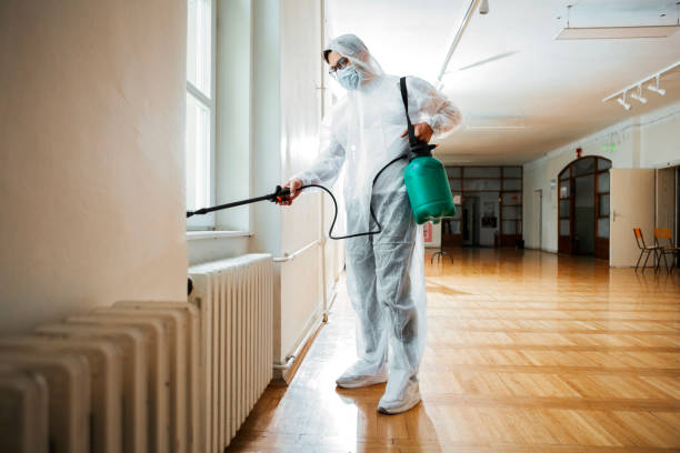 Best Residential Pest Control  in Town Creek, AL